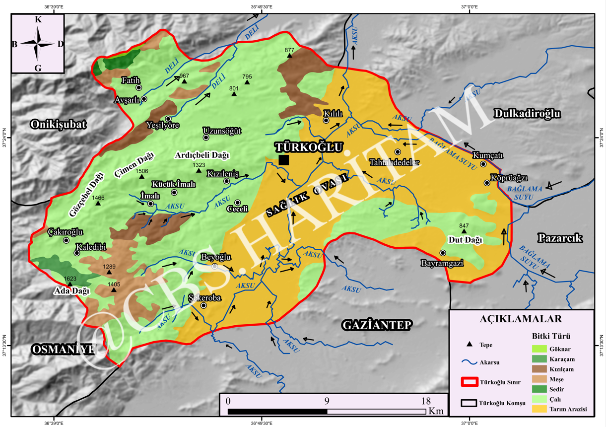 Bitki Örtüsü (Vejetasyon) Haritası